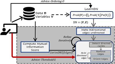 Causal Learning From Predictive Modeling for Observational Data